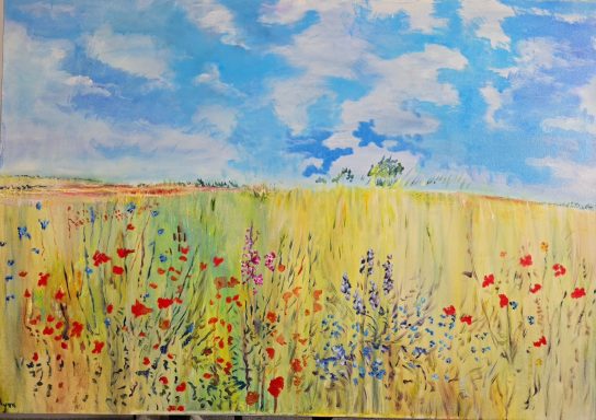 A field alive with poppies and wild flowers. Oil on canvas, one of a kind