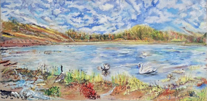 The lakes, The lake District, swans , wild birds Autumnal